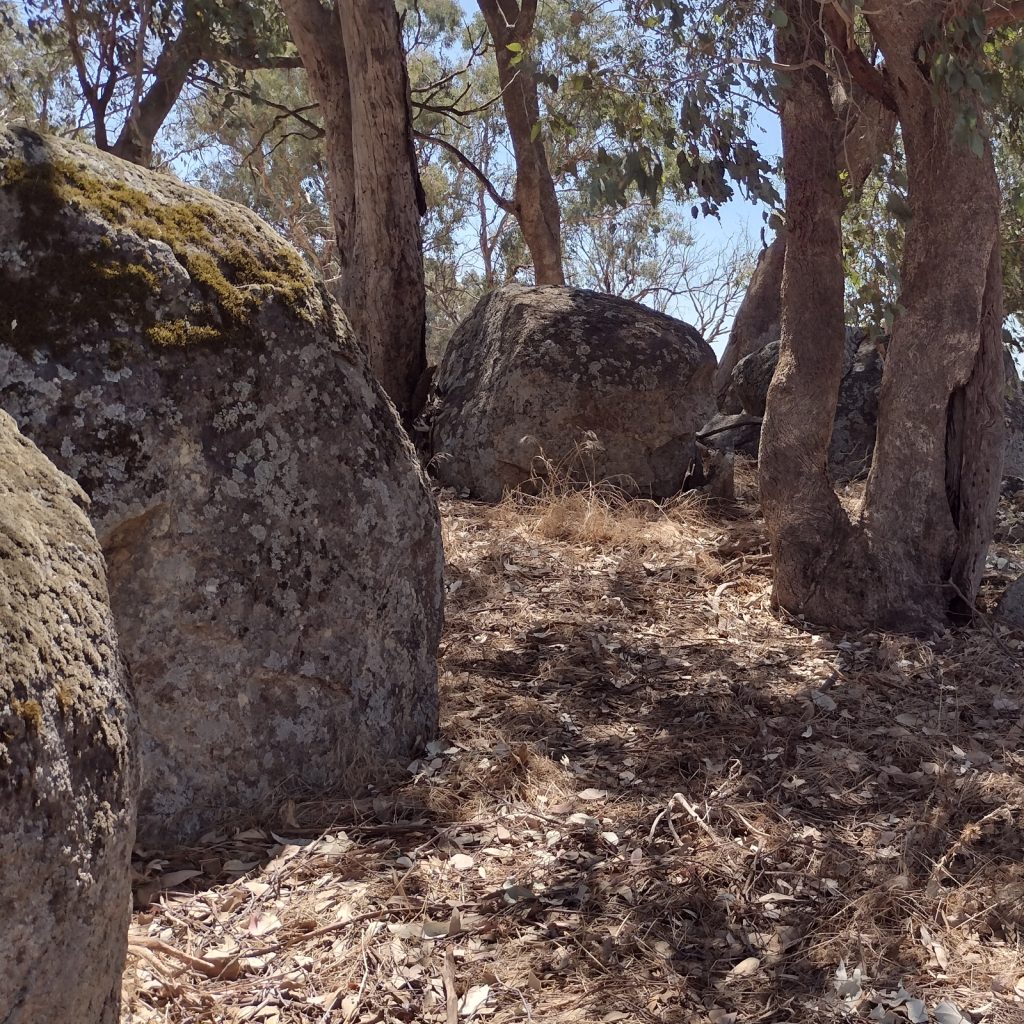 Rocks and Trees